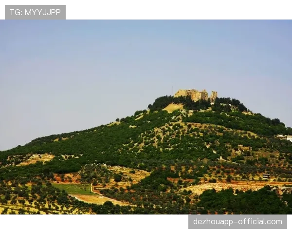 约旦西亚力量首次亮相 面对阿根廷阿尔及利亚奥地利难有作为